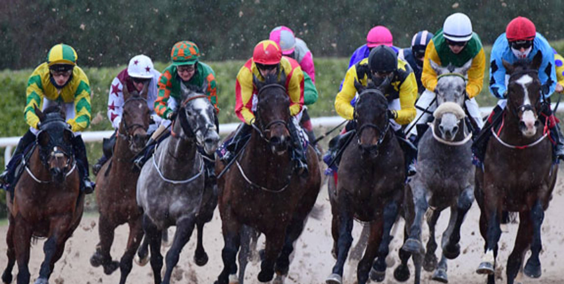 dundalk-racecourse