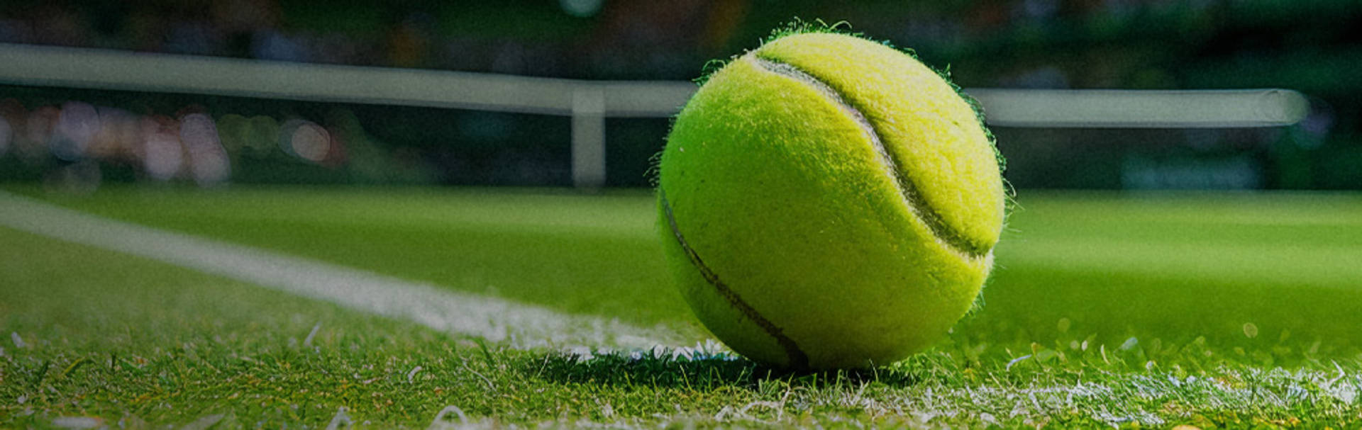 Primo piano di una pallina da tennis gialla sull'erba verde di un campo da gioco vicino alla linea bianca di fondo, con la rete sfocata sullo sfondo.