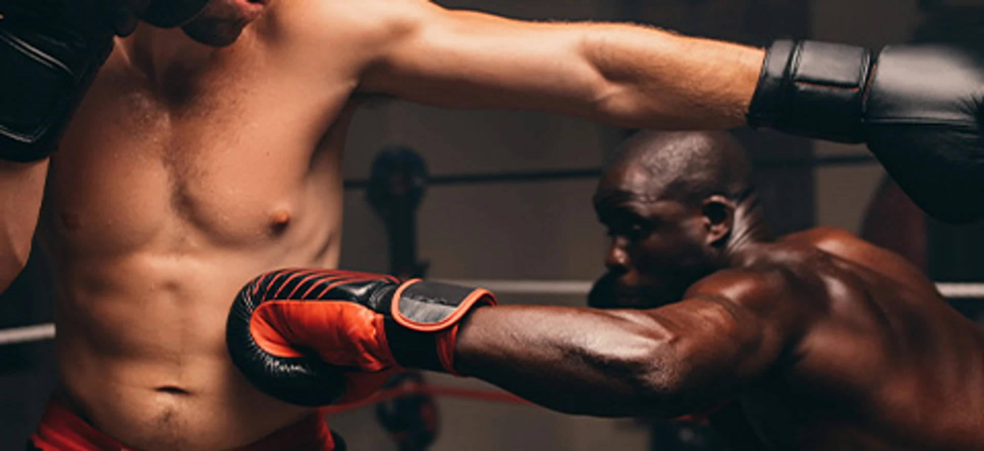 Bet on Boxing Bouts