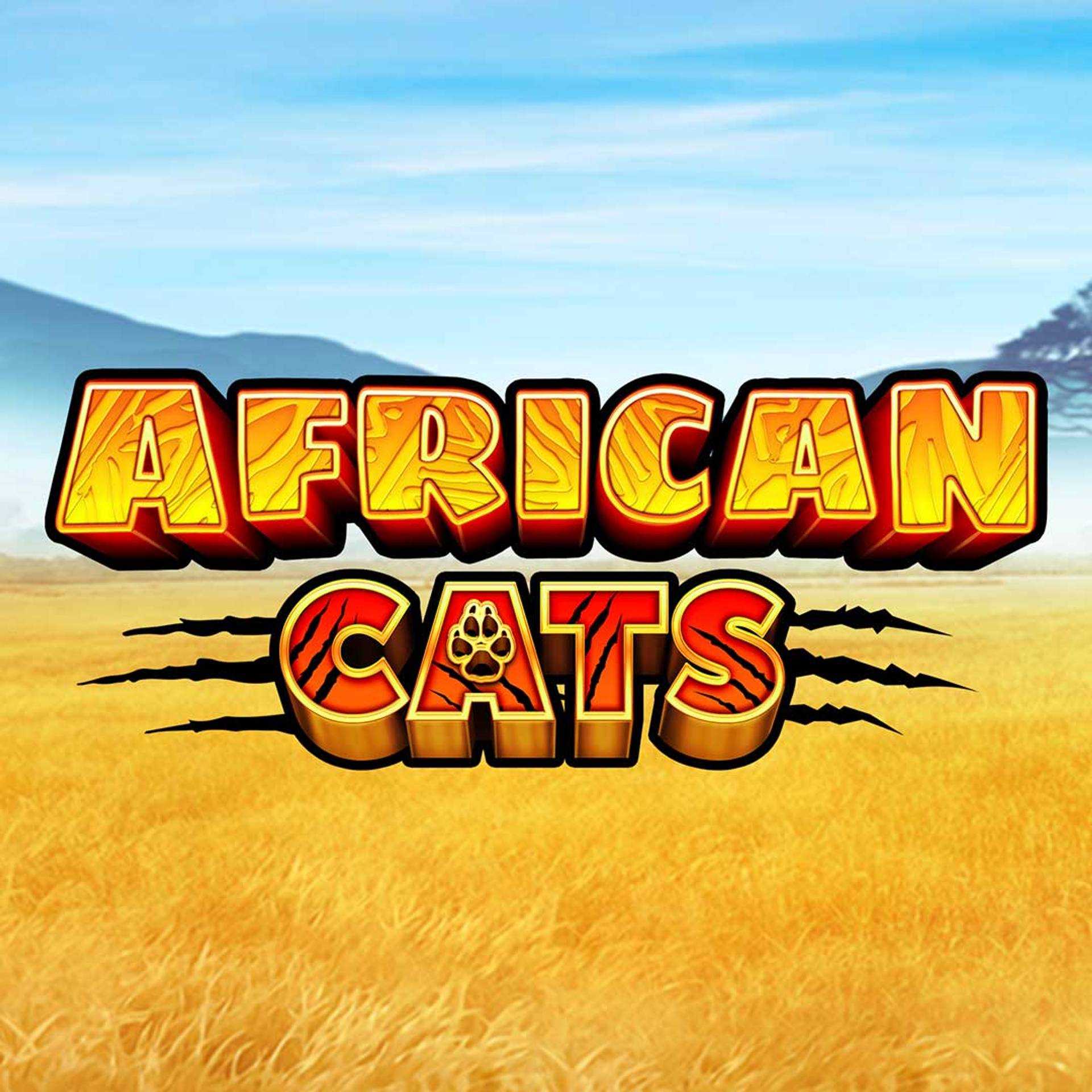 African Cats