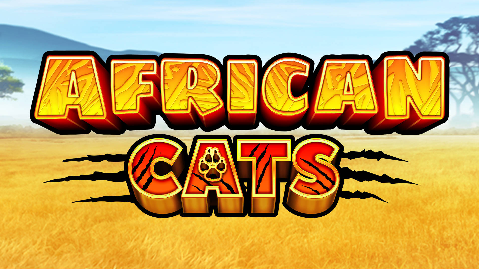 African Cats