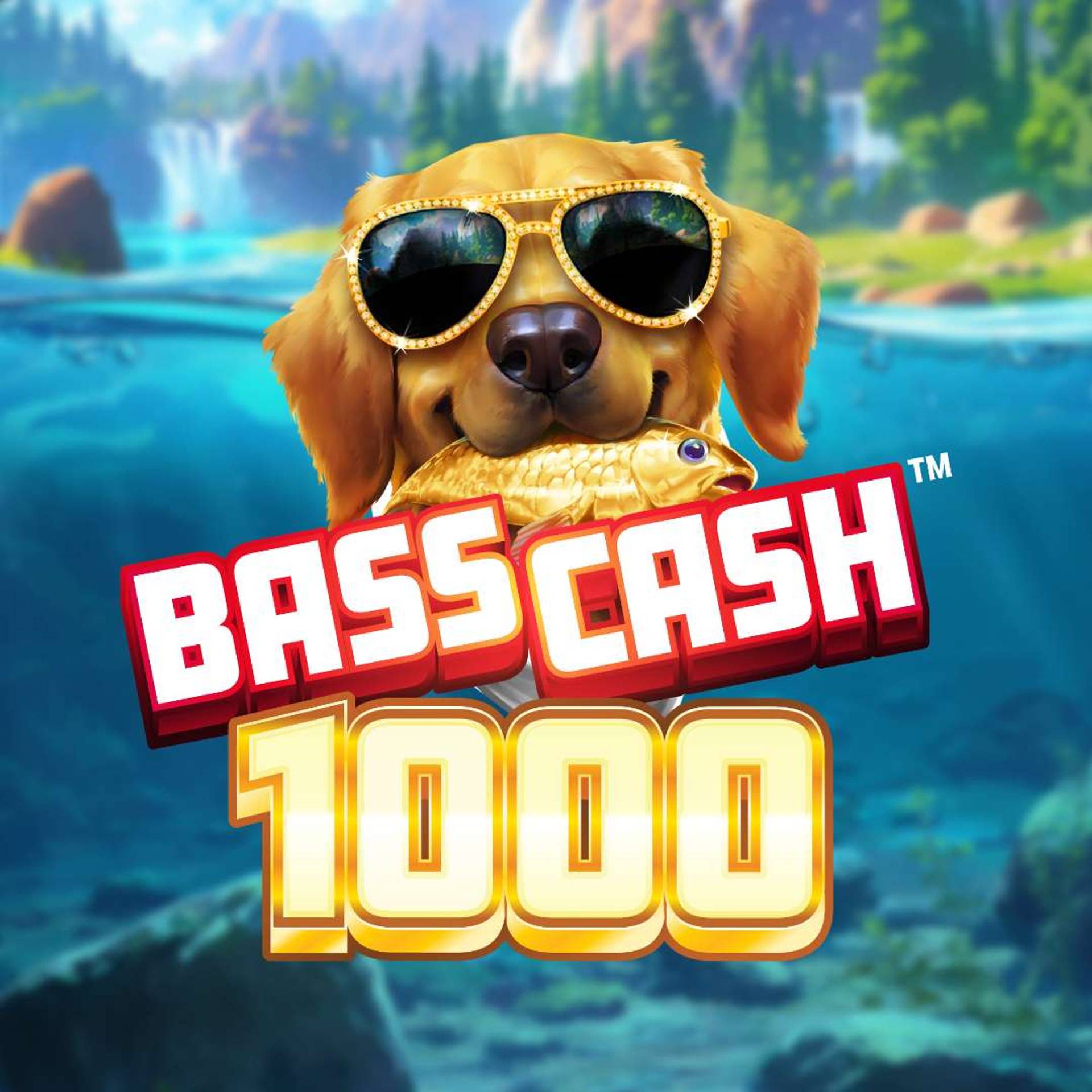 Bass Cash 1000