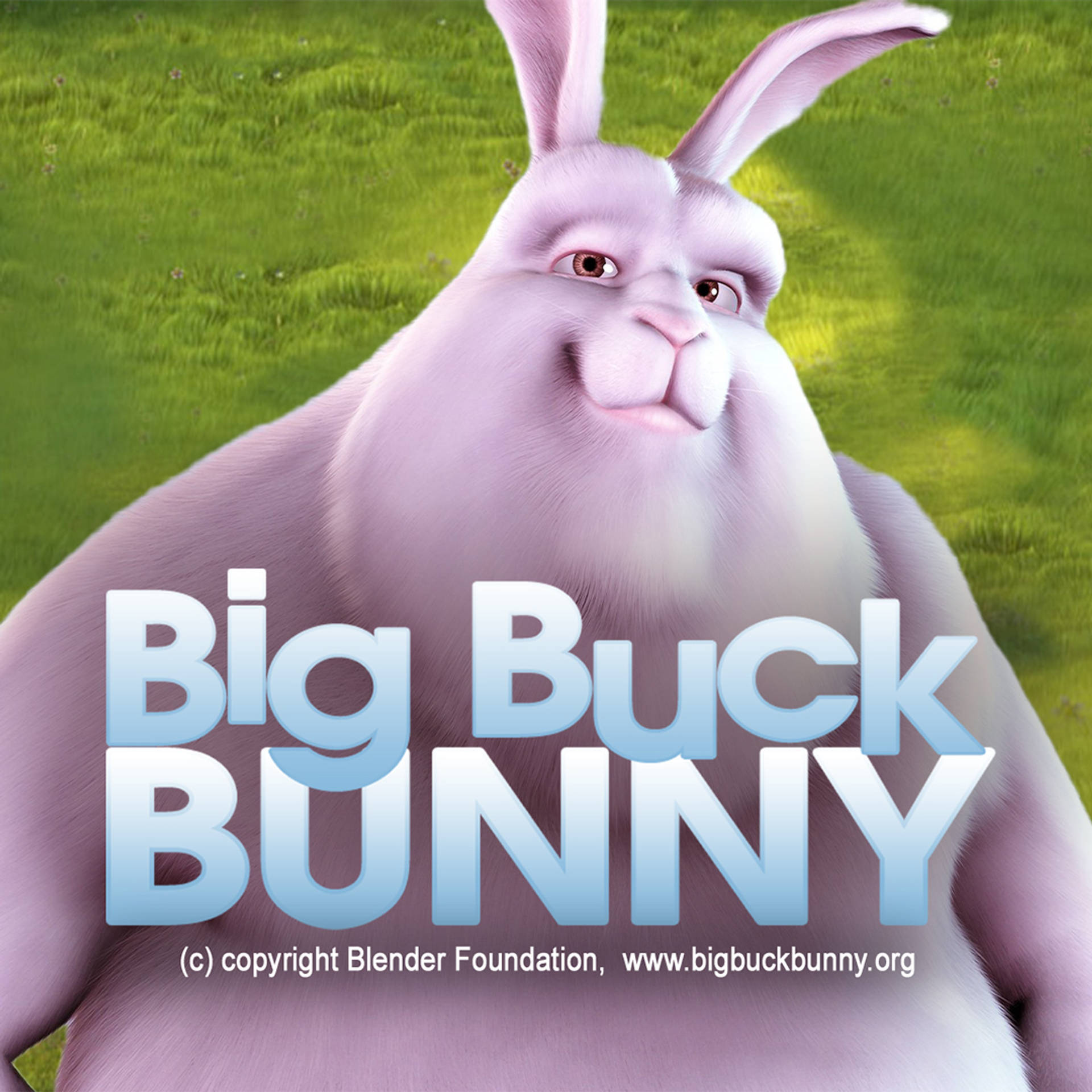 Big Buck Bunny