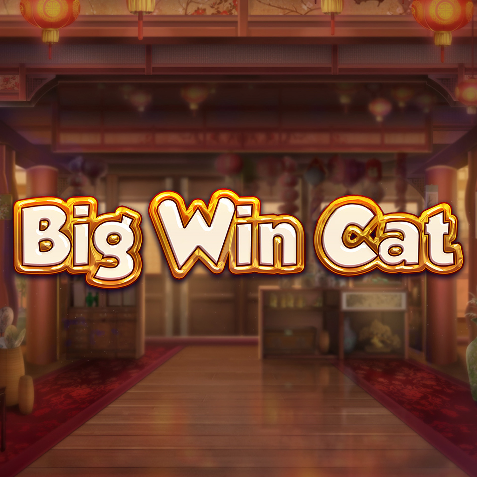 Big Win Cat