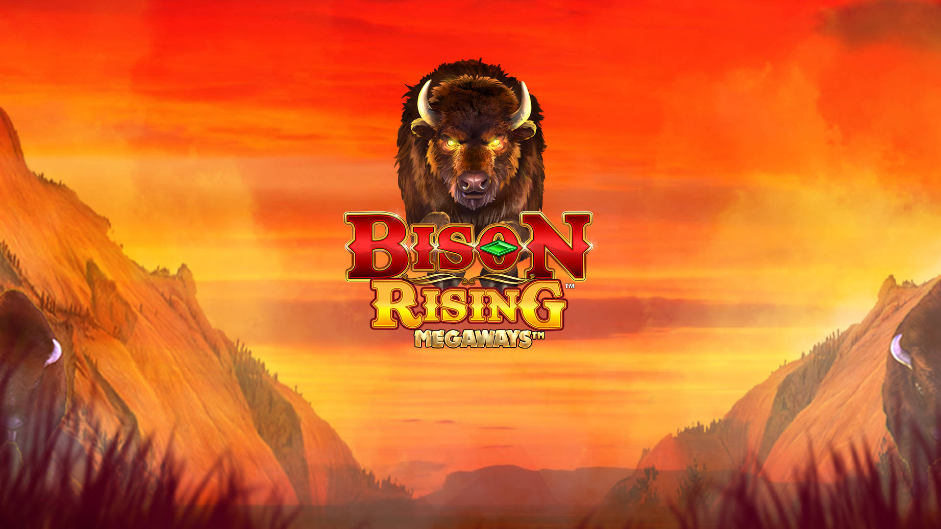 https://bison-casino.biz/