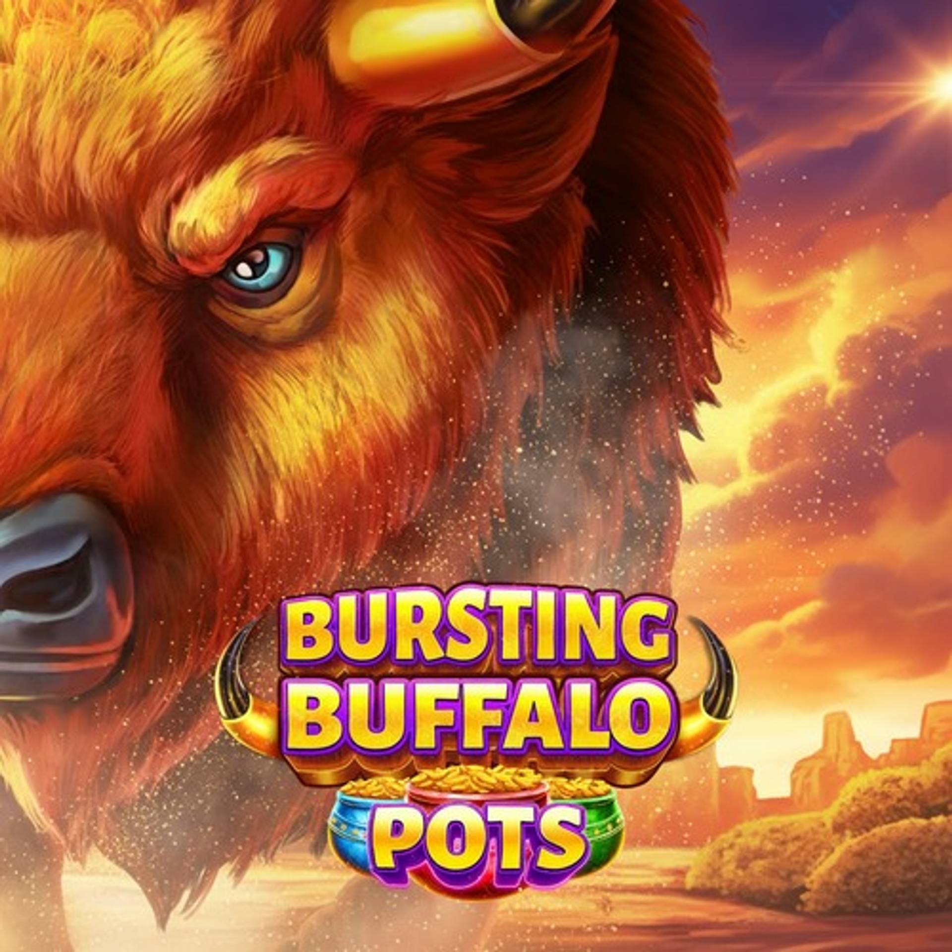 Bursting Buffalo Pots