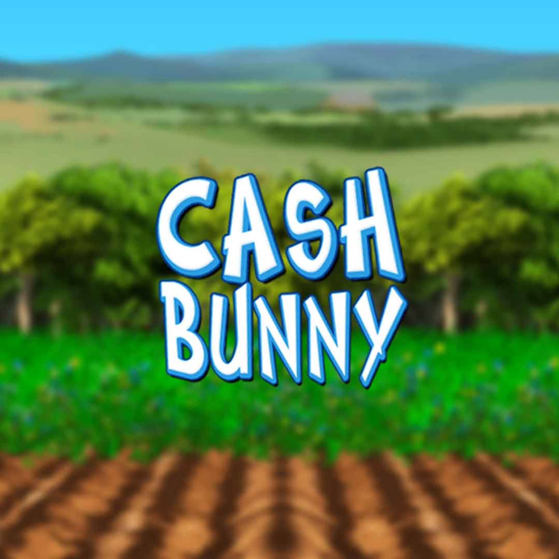 Cash Bunny
