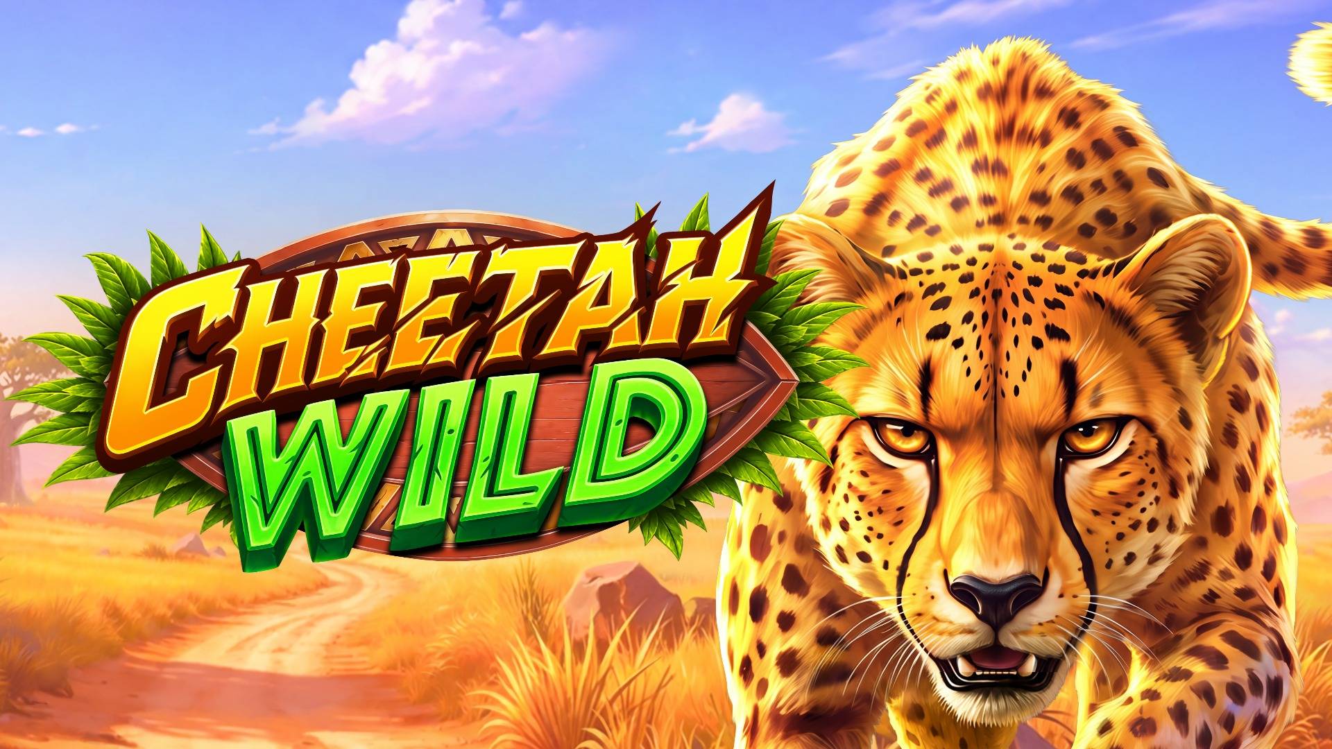 Cheetah Wild