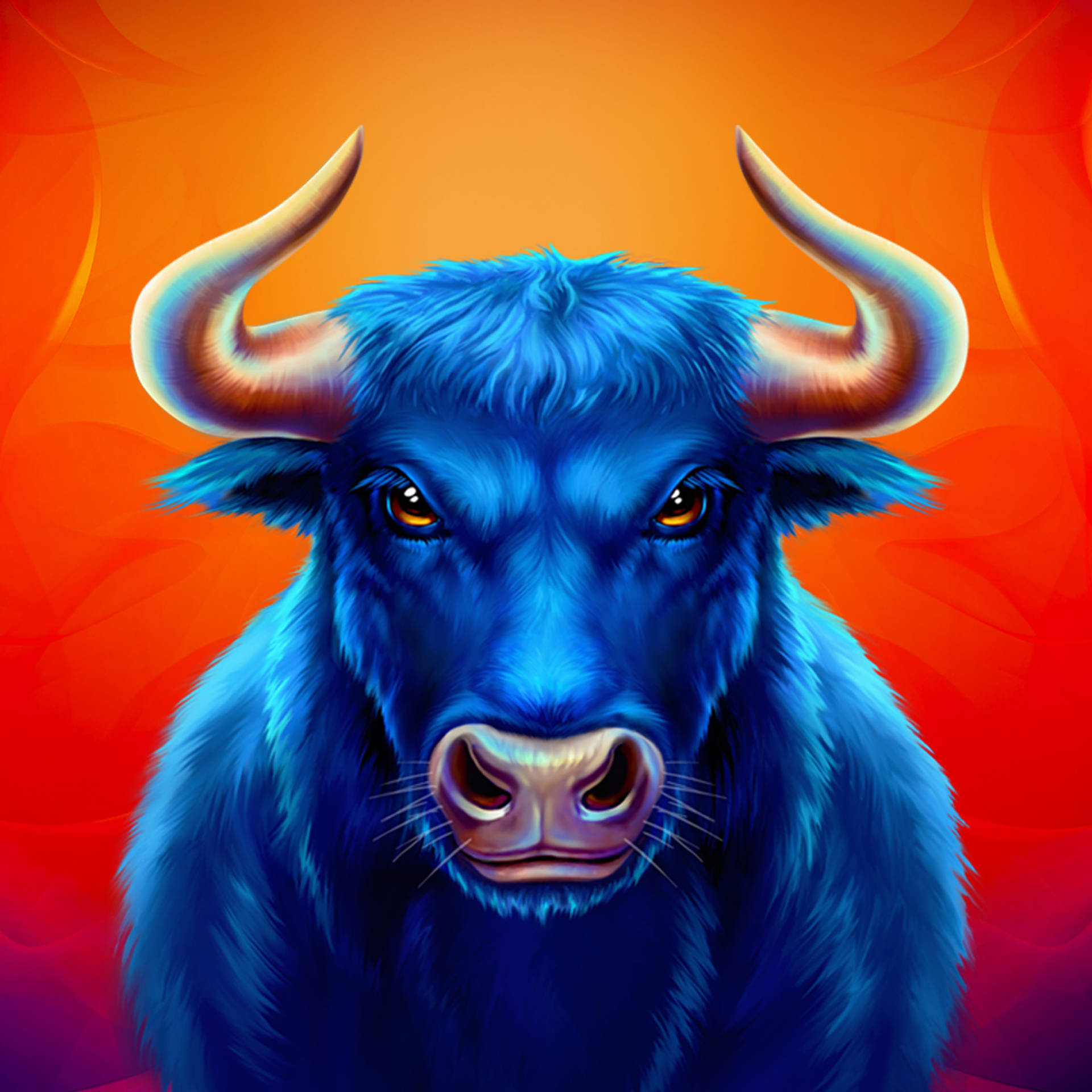 Chilli El Toro