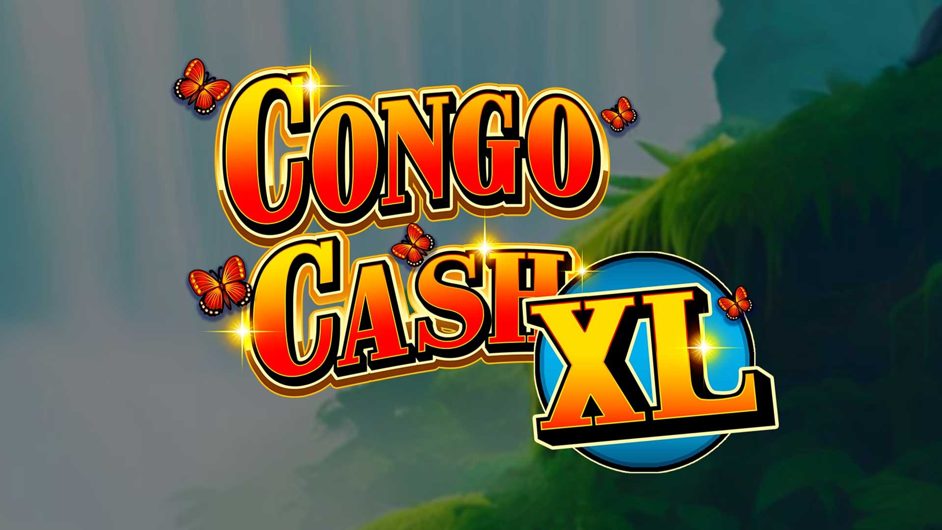 Congo Cash XL