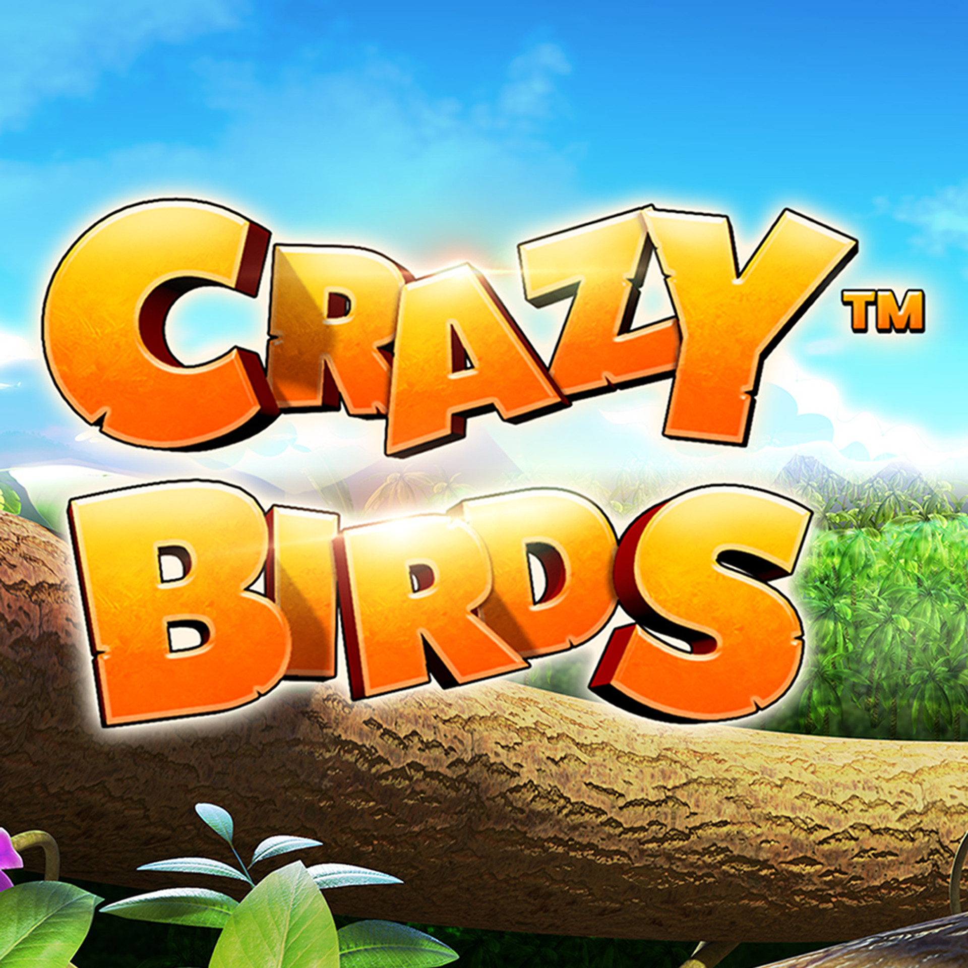 Crazy Birds