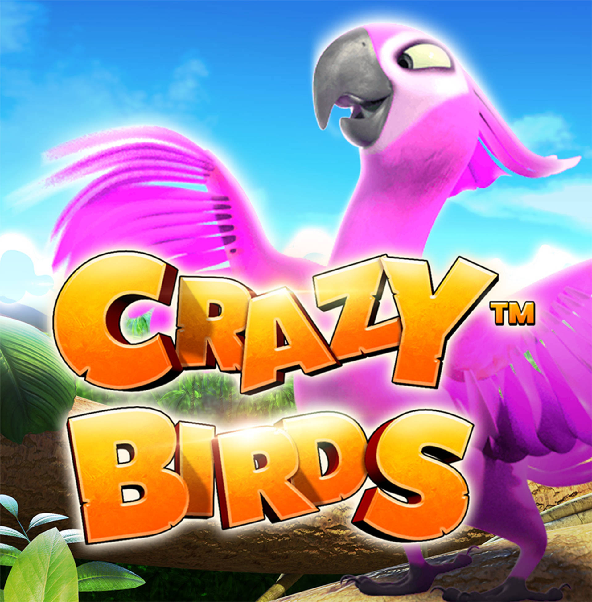Crazy Birds
