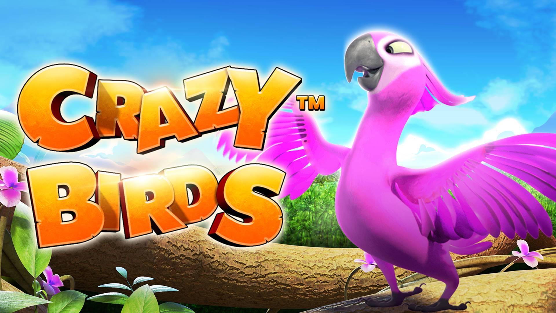 Crazy Birds