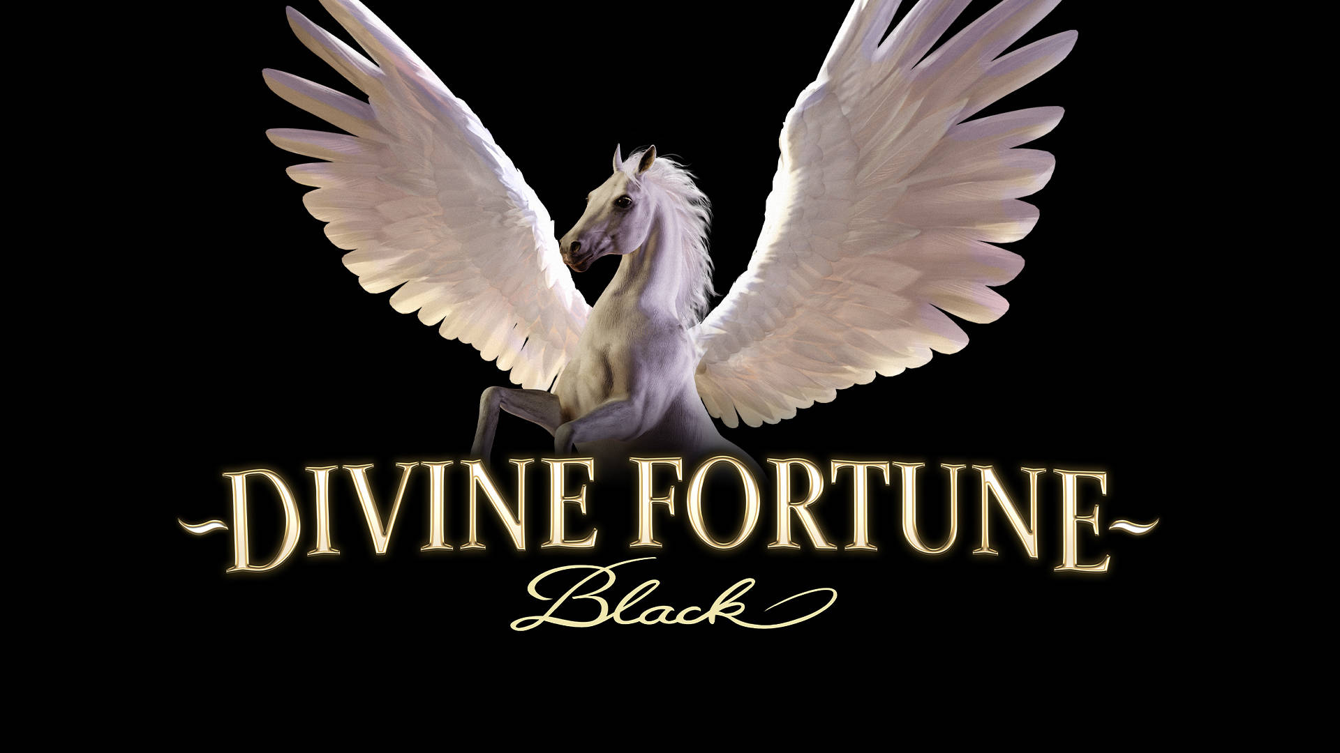 Divine Fortune Black