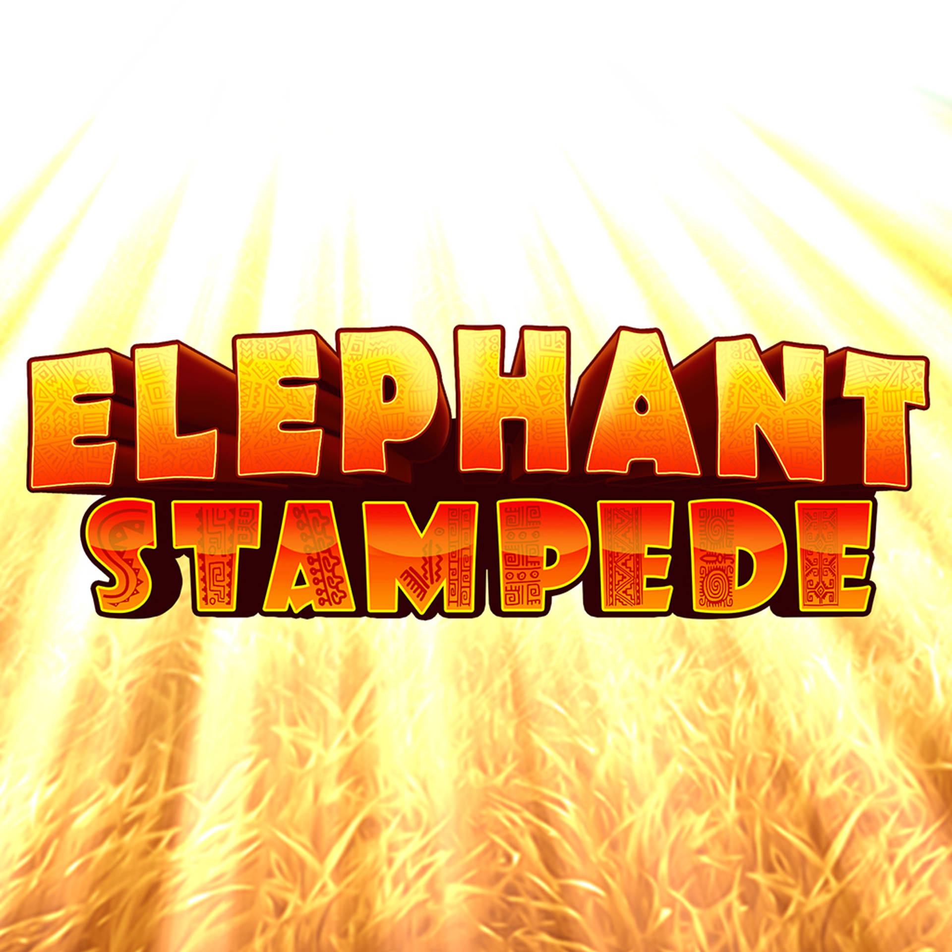 Elephant Stampede
