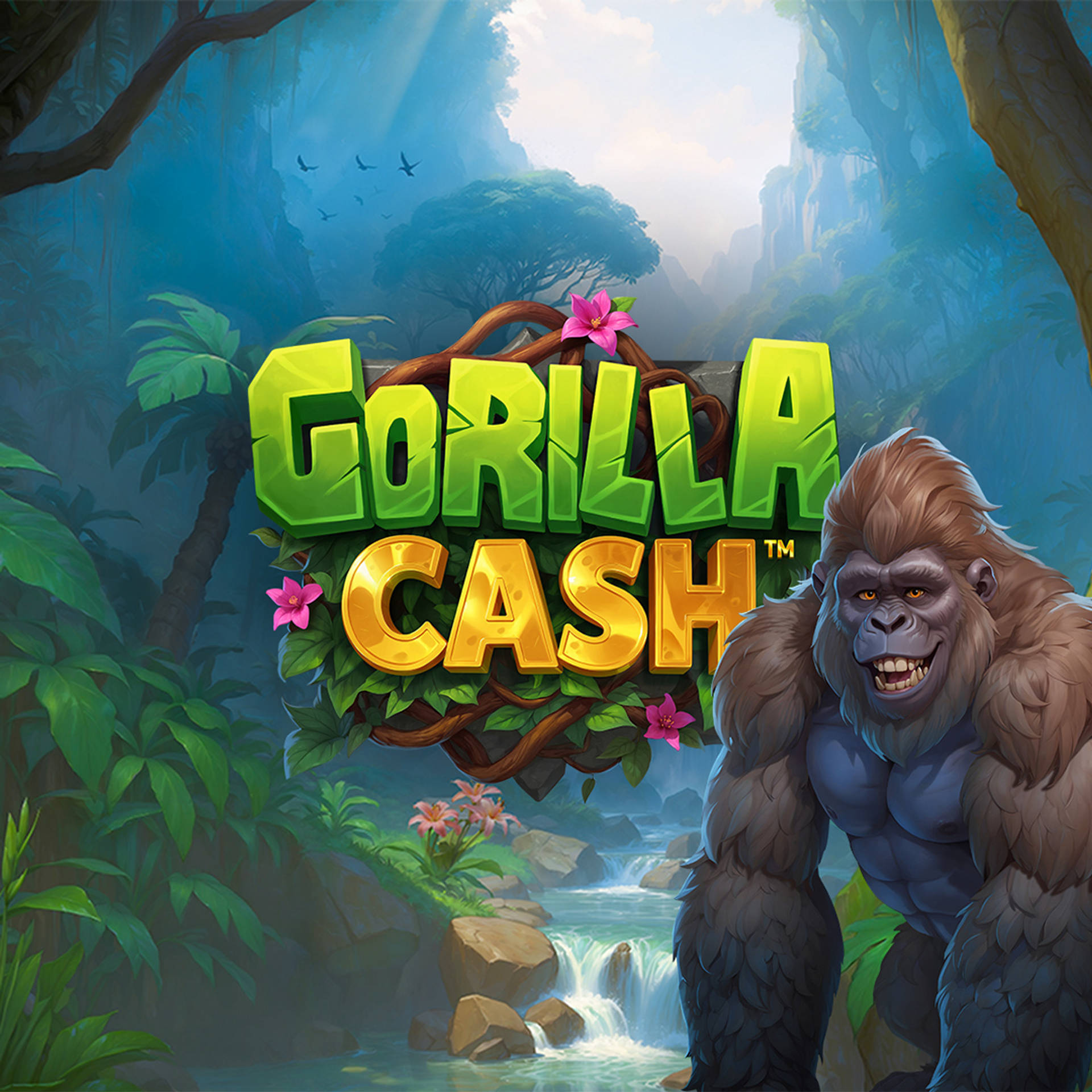 Gorilla Cash