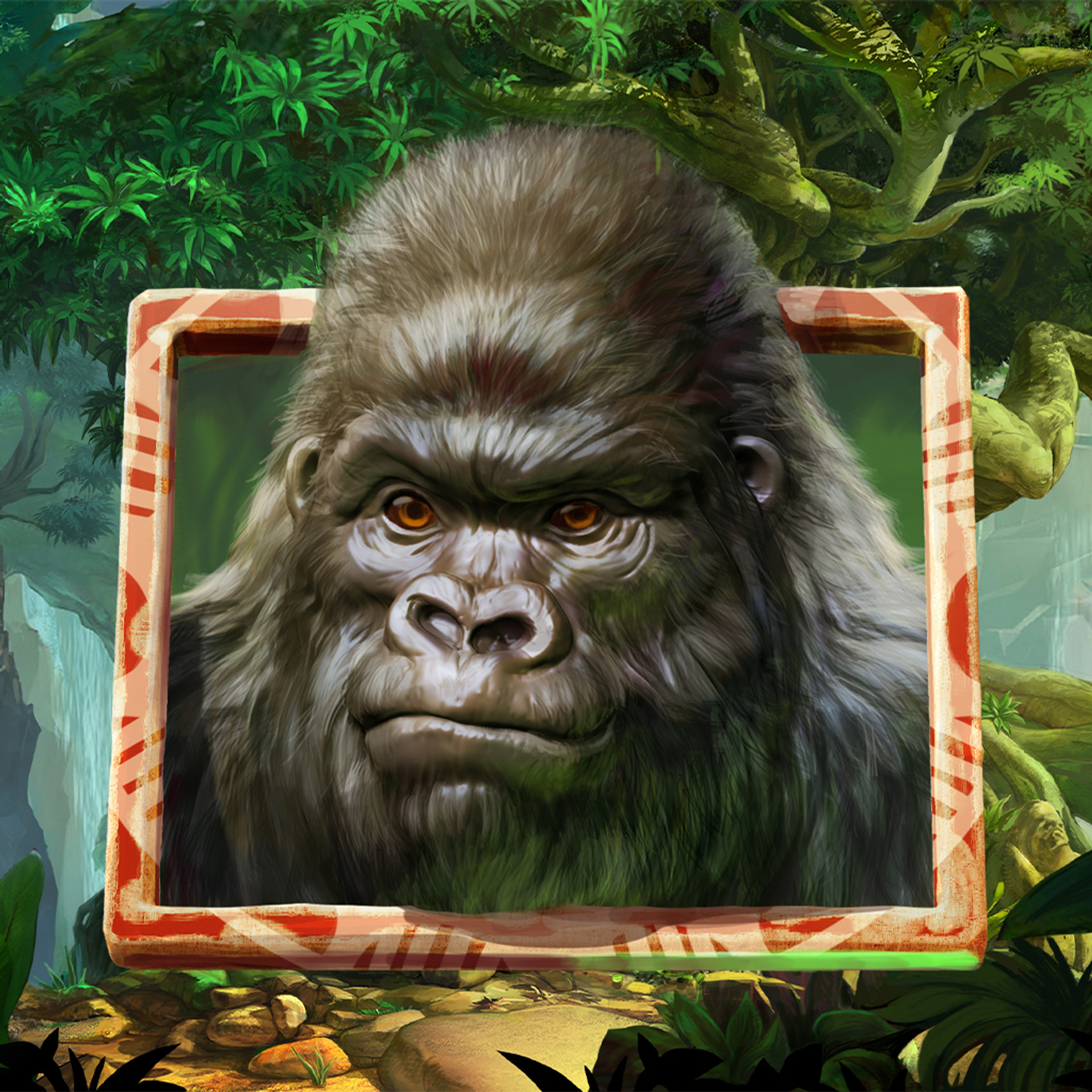 Gorilla Kingdom
