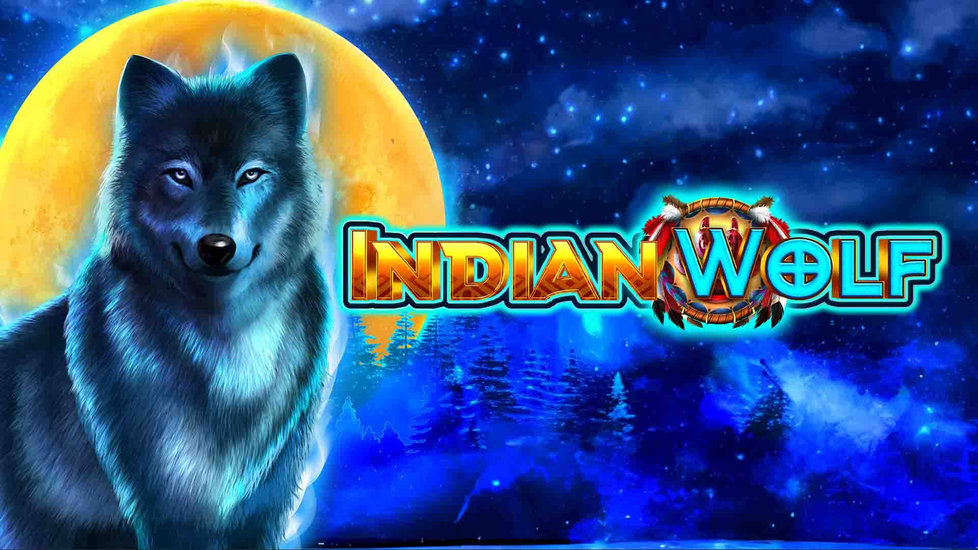 Indian Wolf