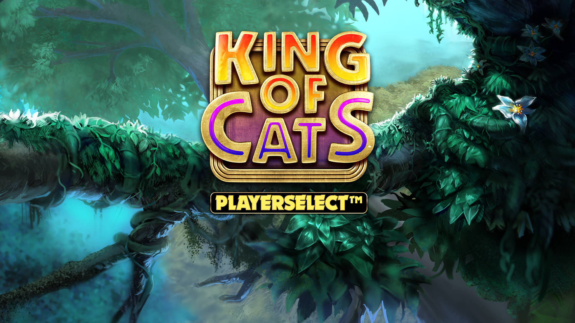 King of Cats PLAYERSELECT