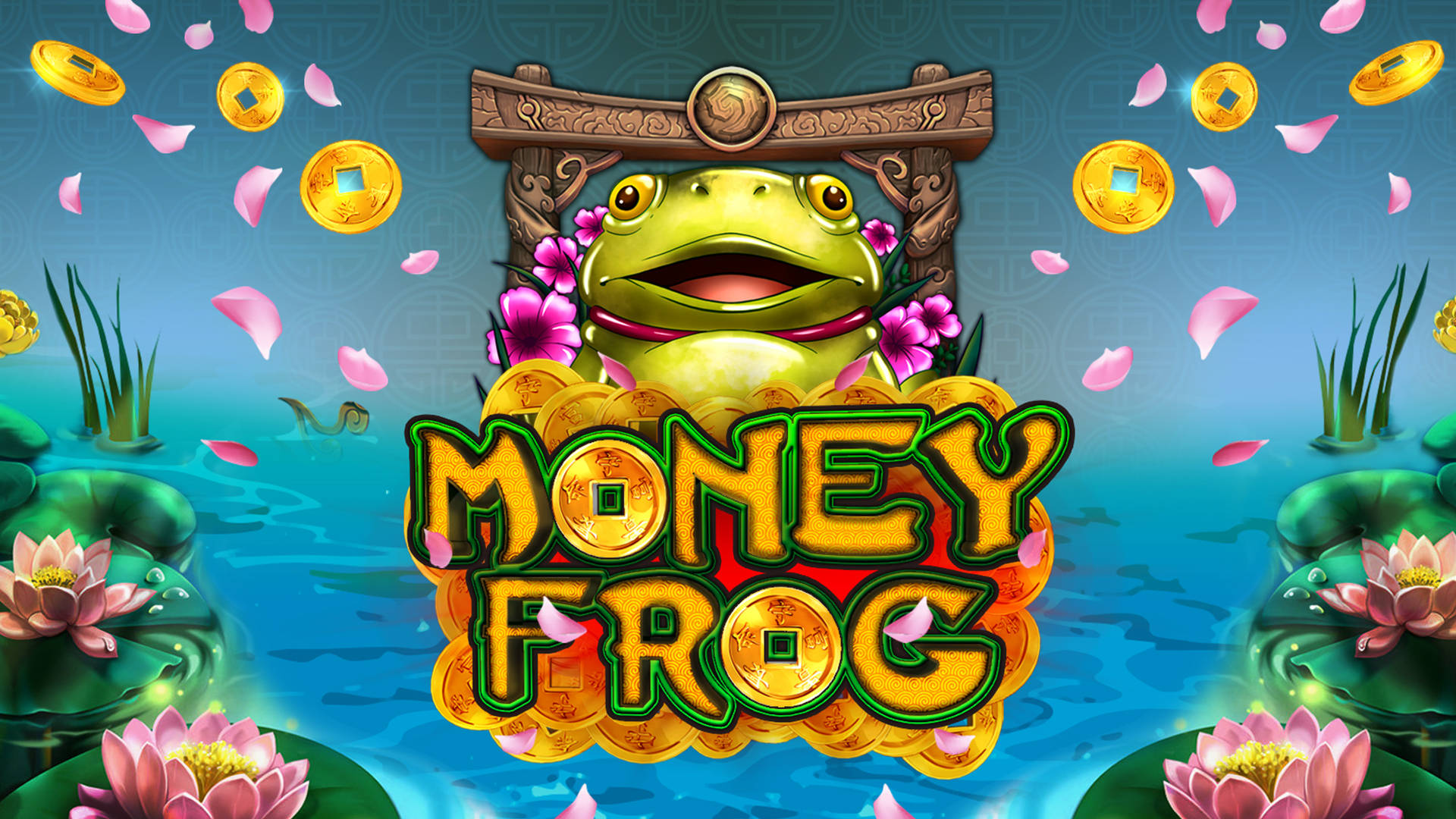 Money Frog