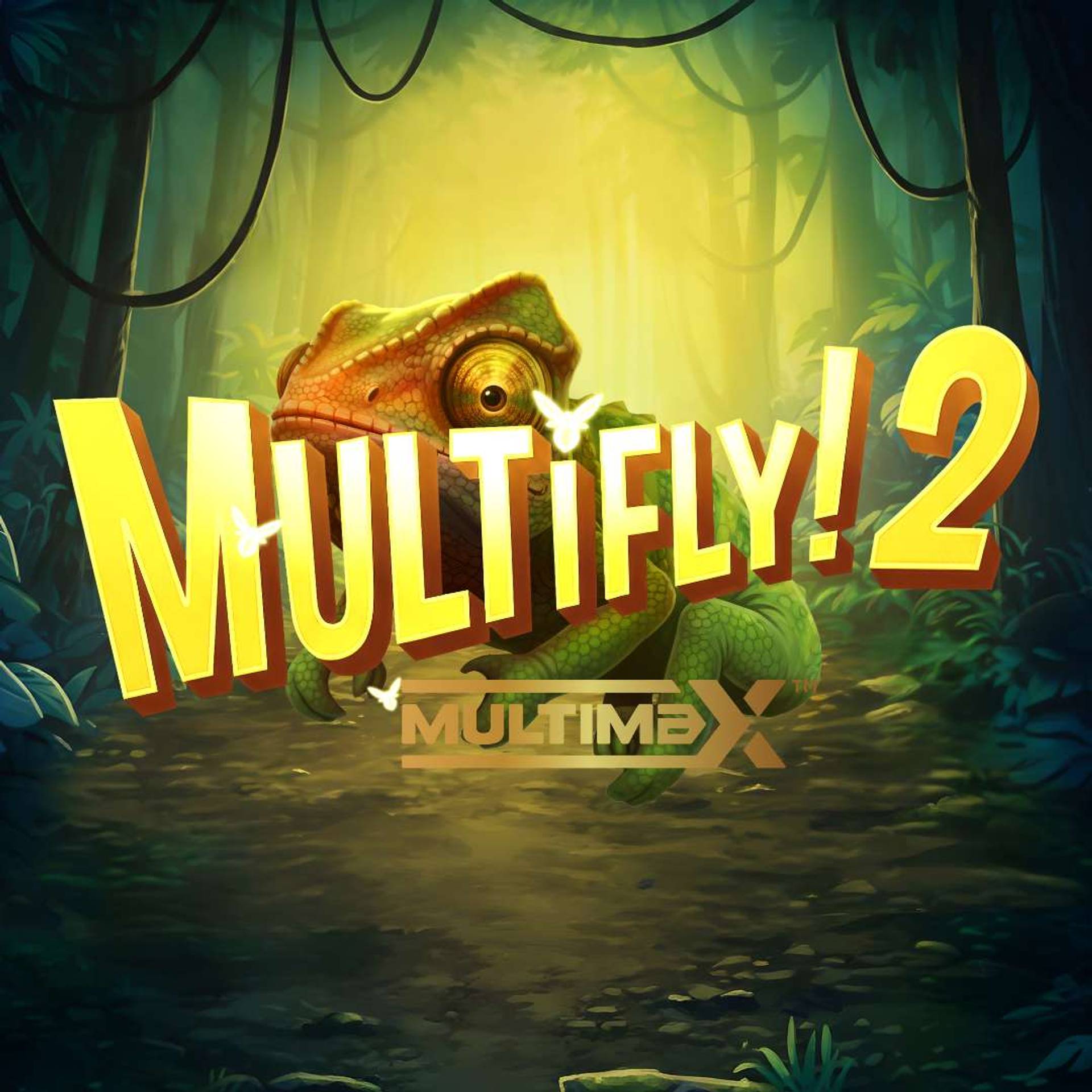 Multifly! 2 Multimax