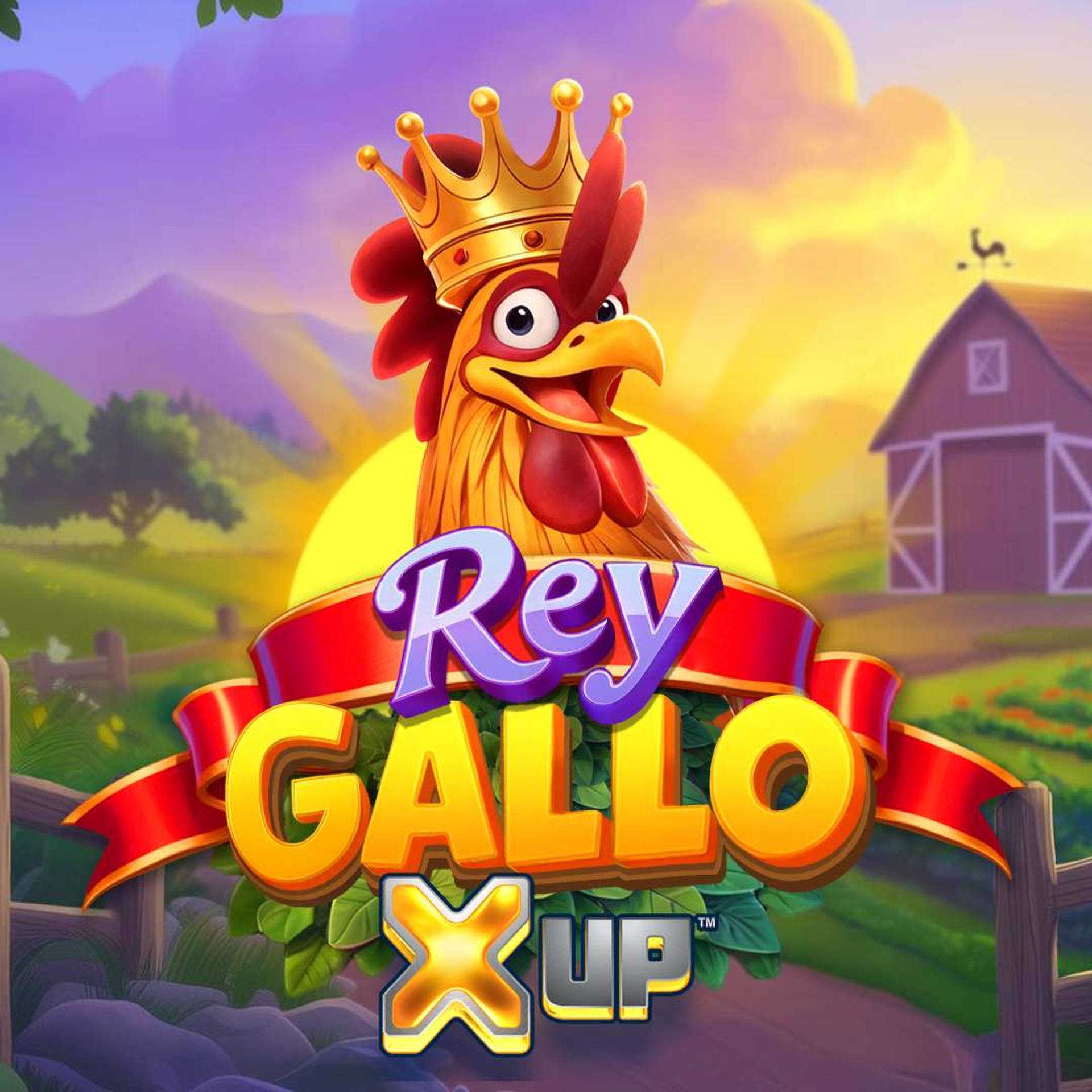 Rey Gallo X UP