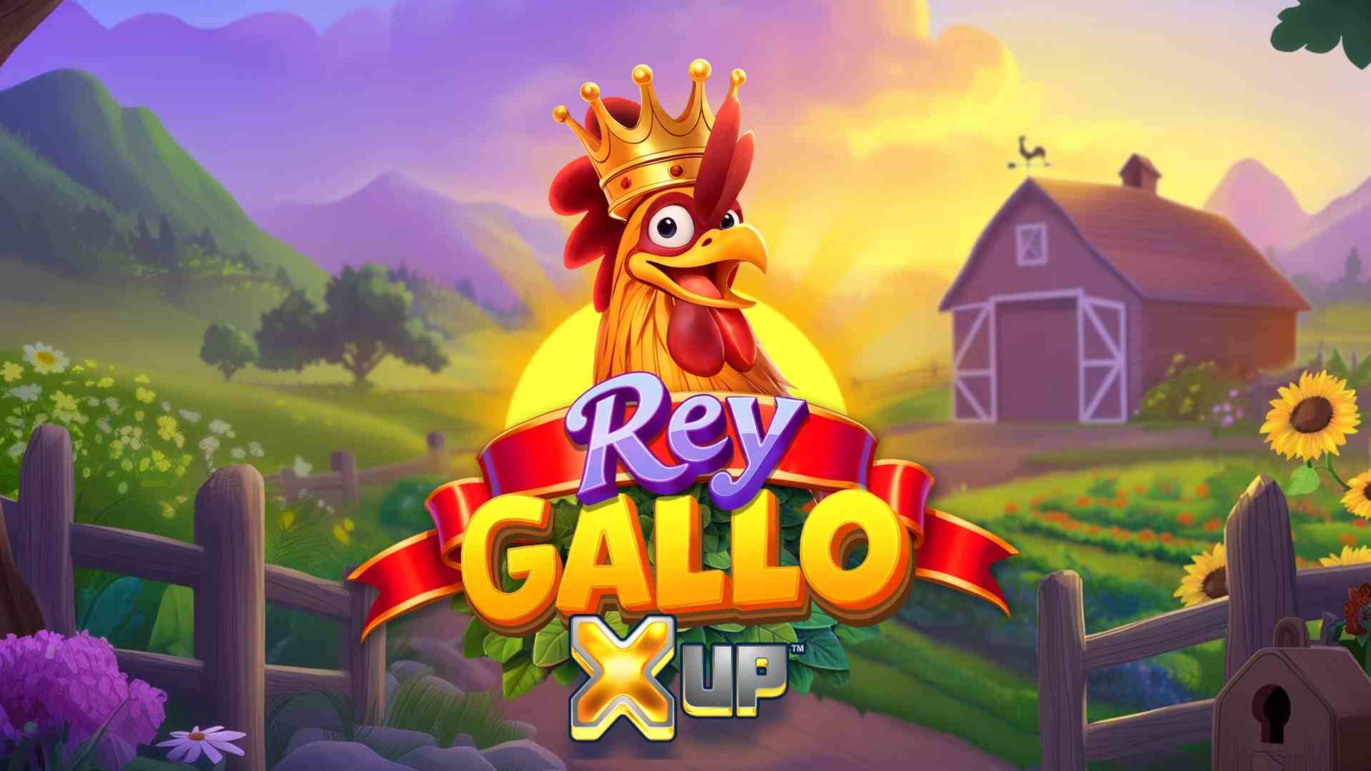Rey Gallo X UP