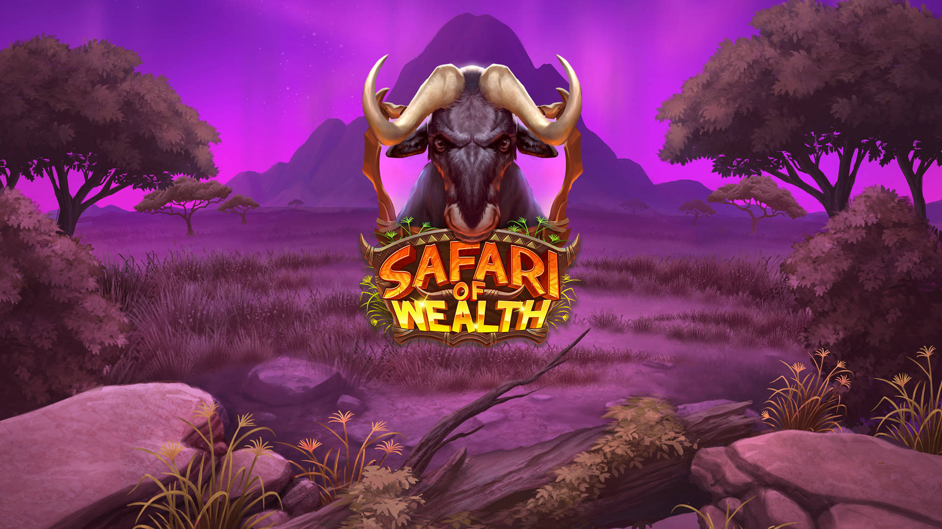 Safari of Wealth