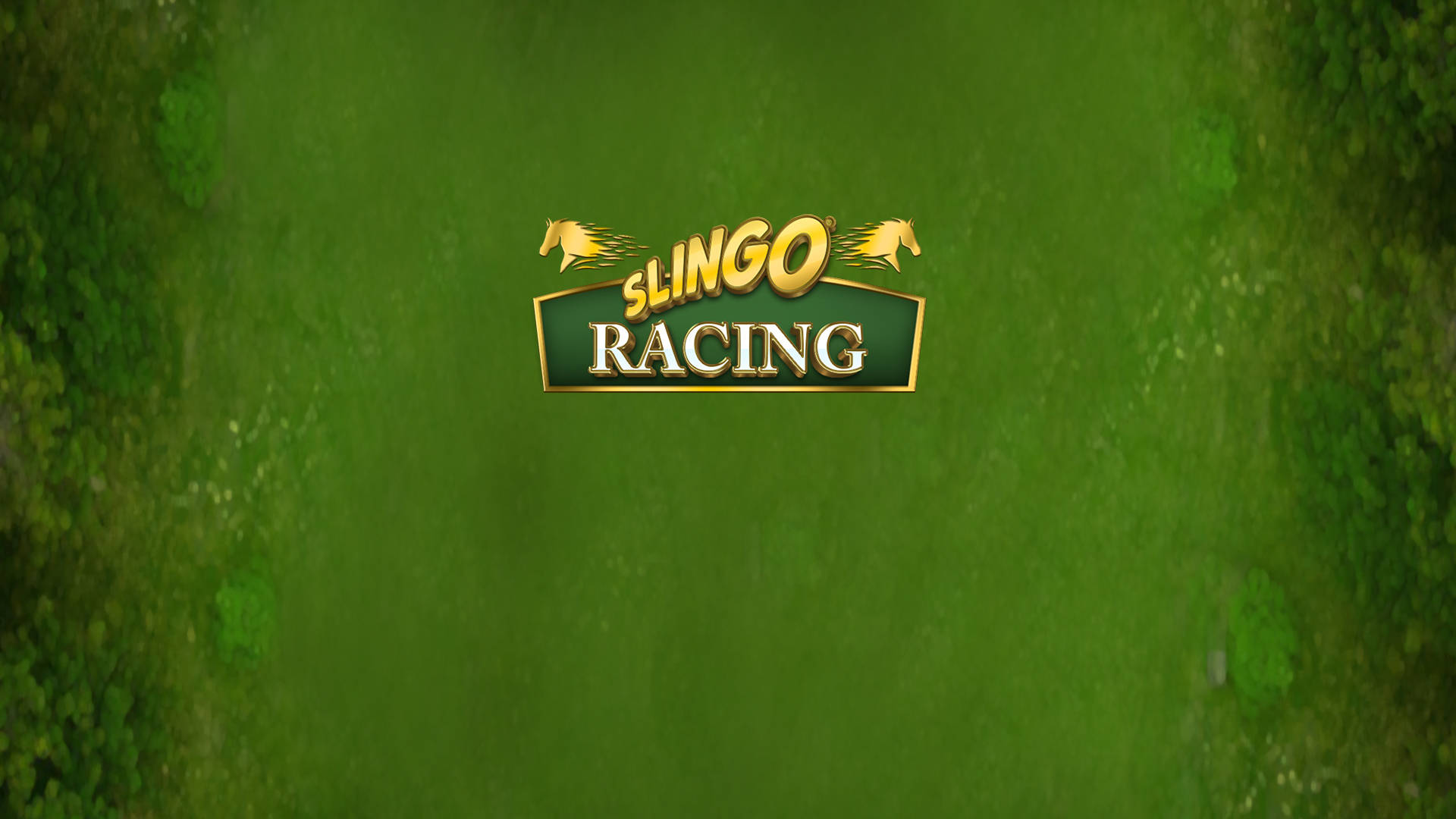 Slingo Racing