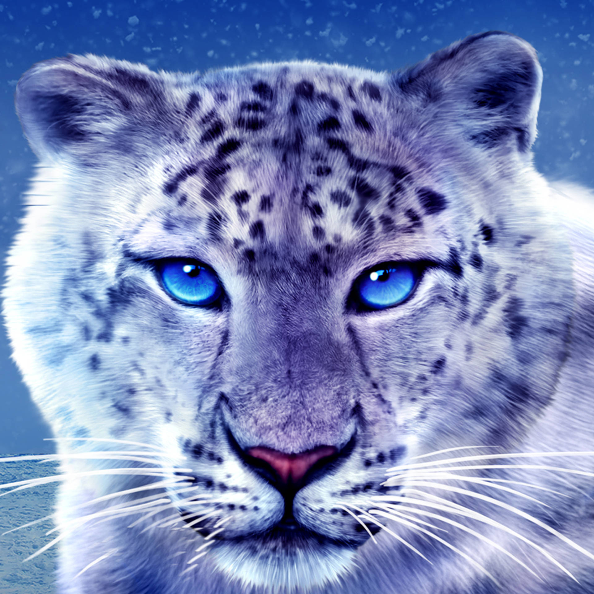 Snow Leopard