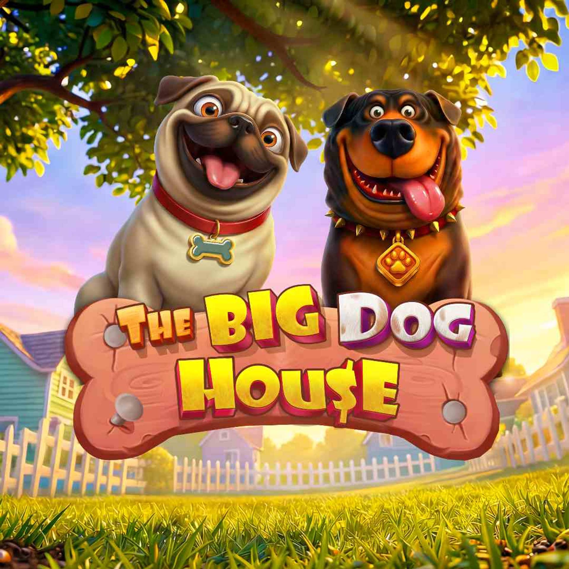 The Big Dog House