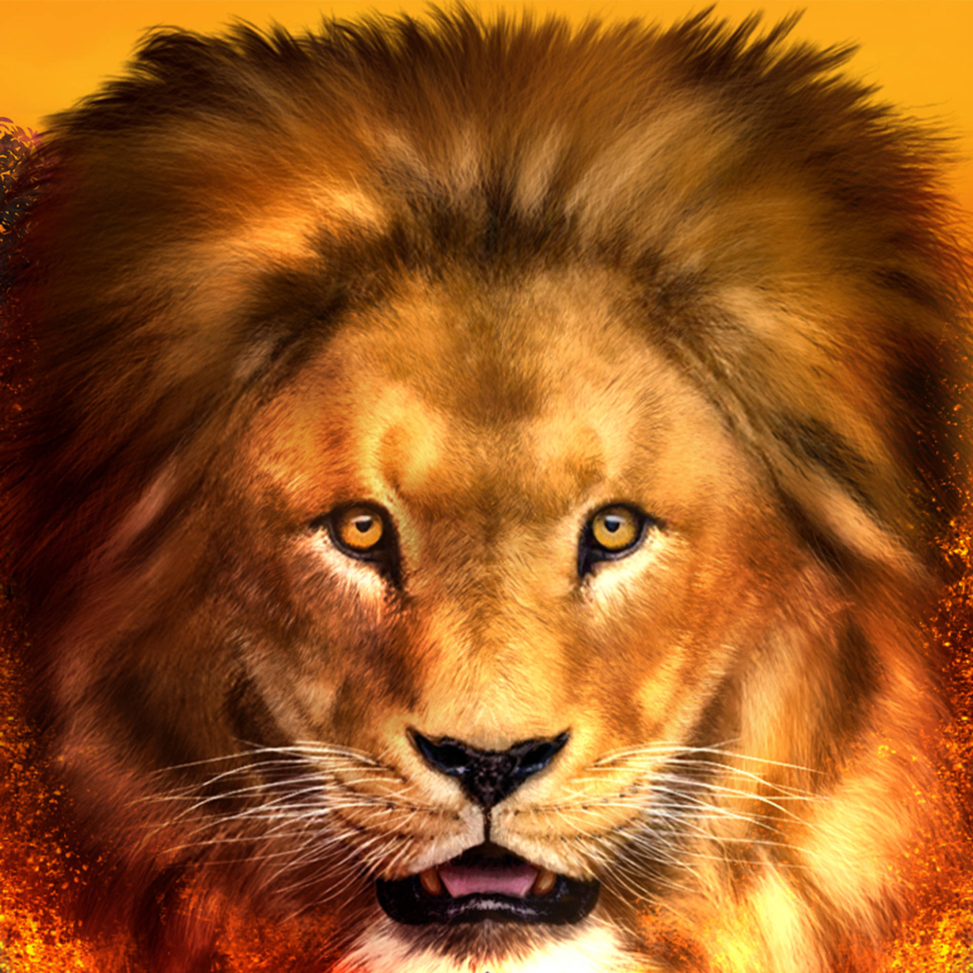 The King