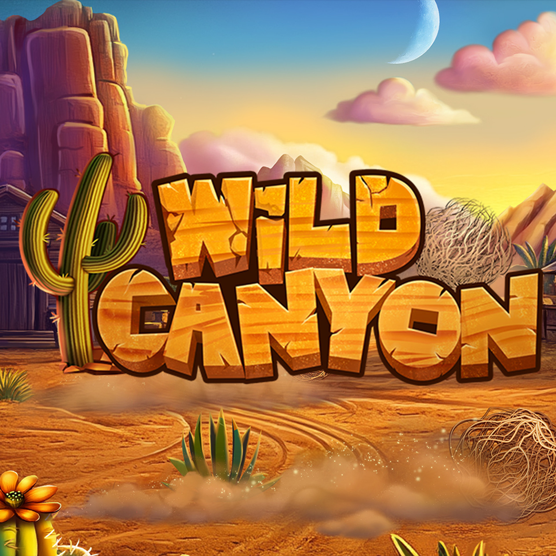 Wild Canyon