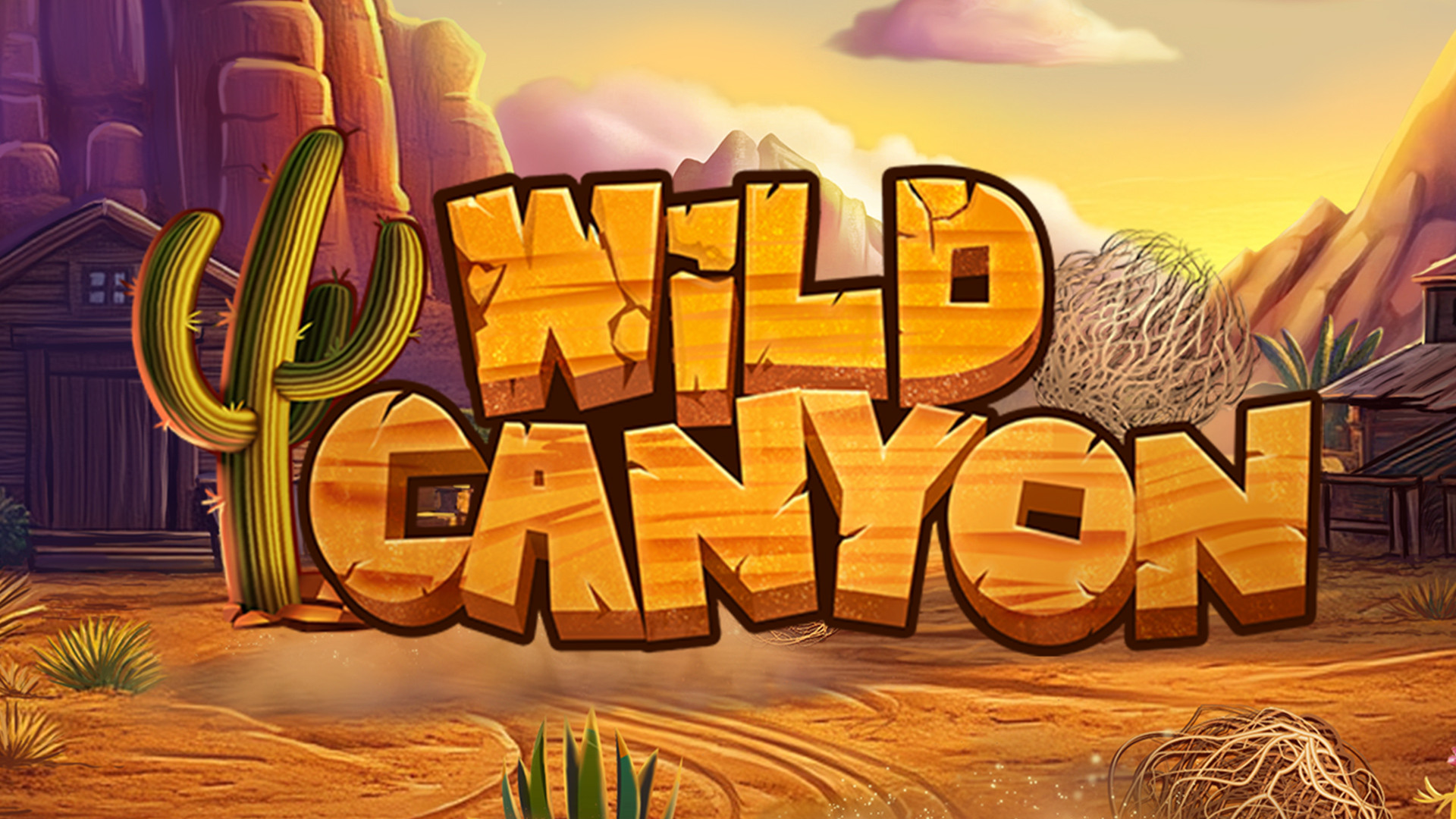 Wild Canyon