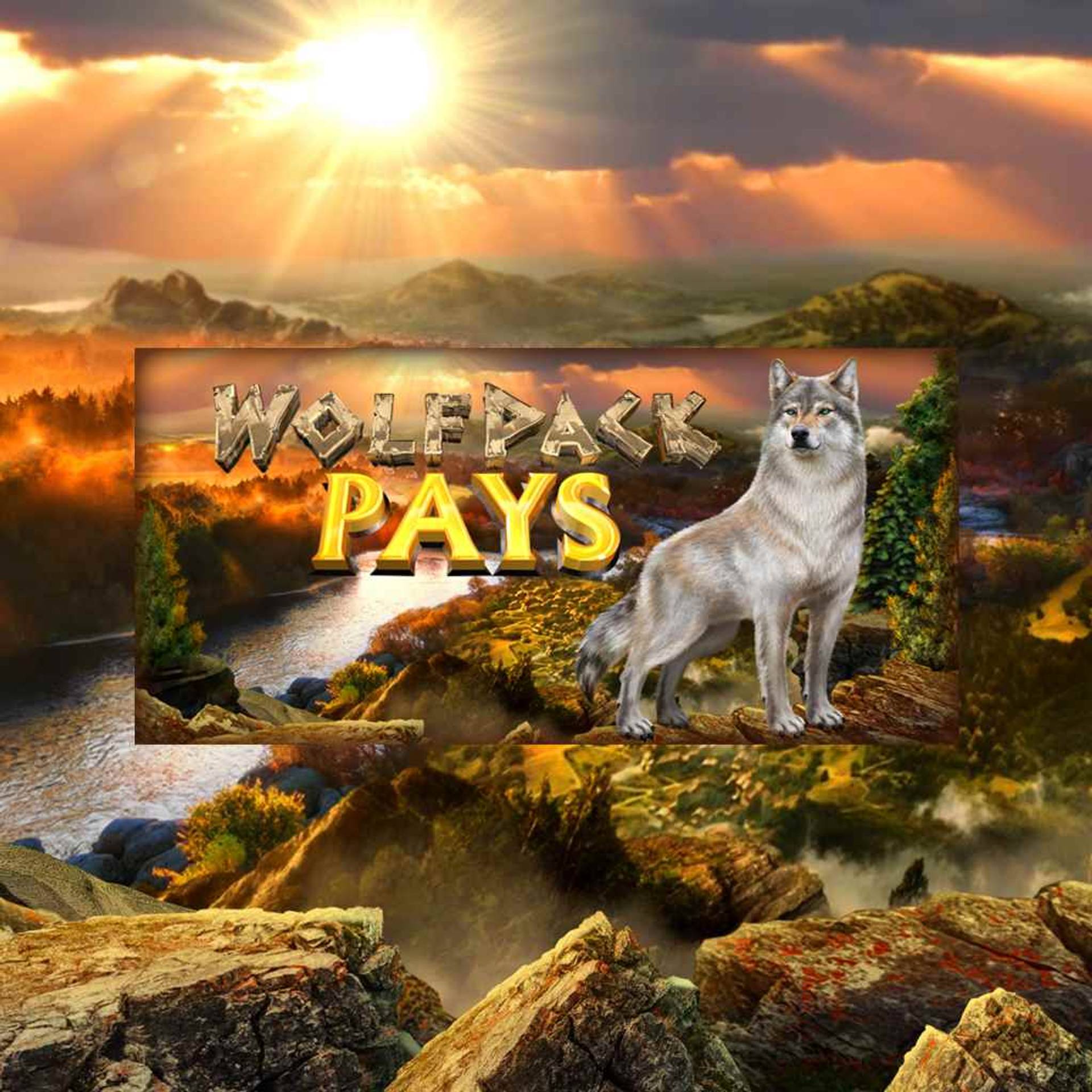 Wolfpack Pays