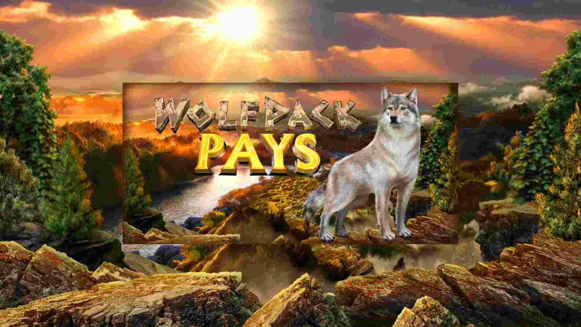 Wolfpack Pays