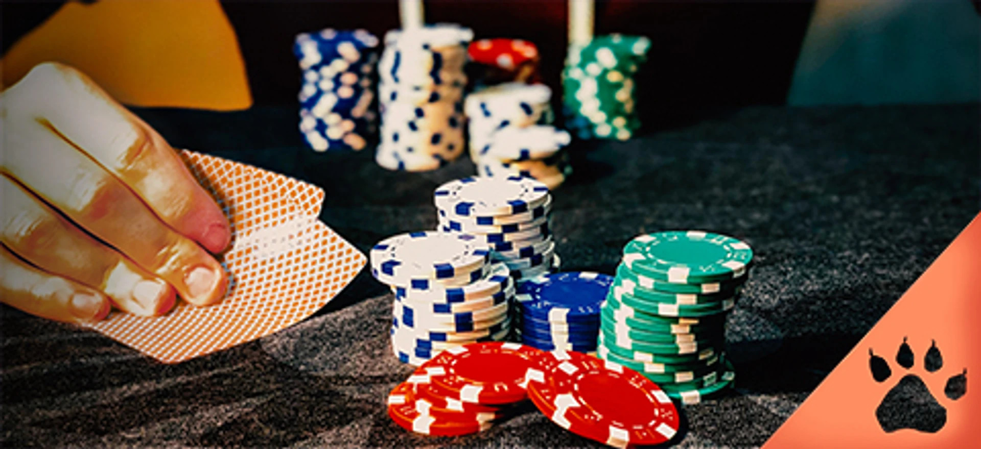 Spiller løfter pokerkort ved et bord med farvede jetoner i forskellige størrelser