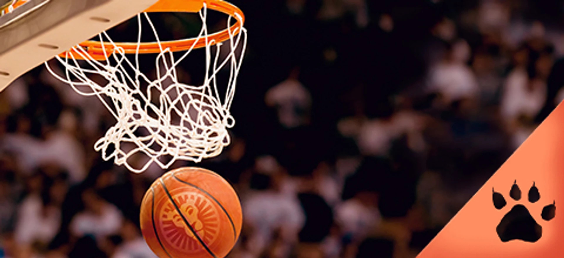Basketball på vej gennem nettet under en kamp