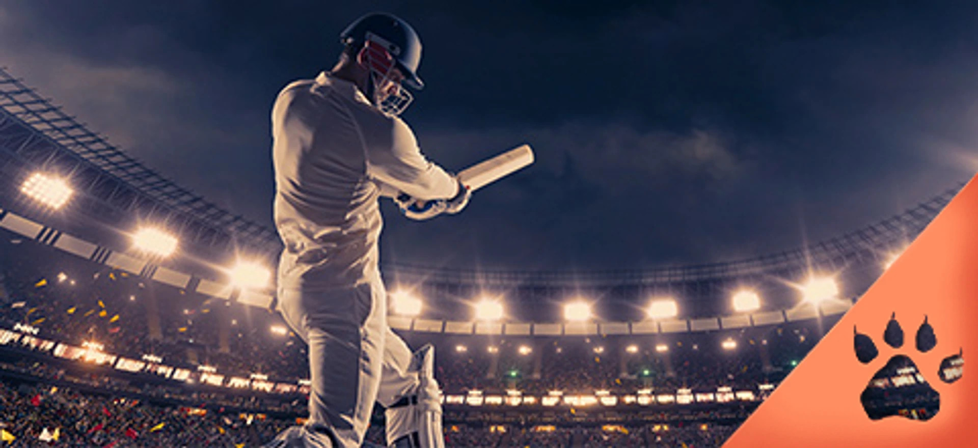 Cricketspiller i hvidt udstyr svinger battet på et oplyst stadion under aftenhimmel