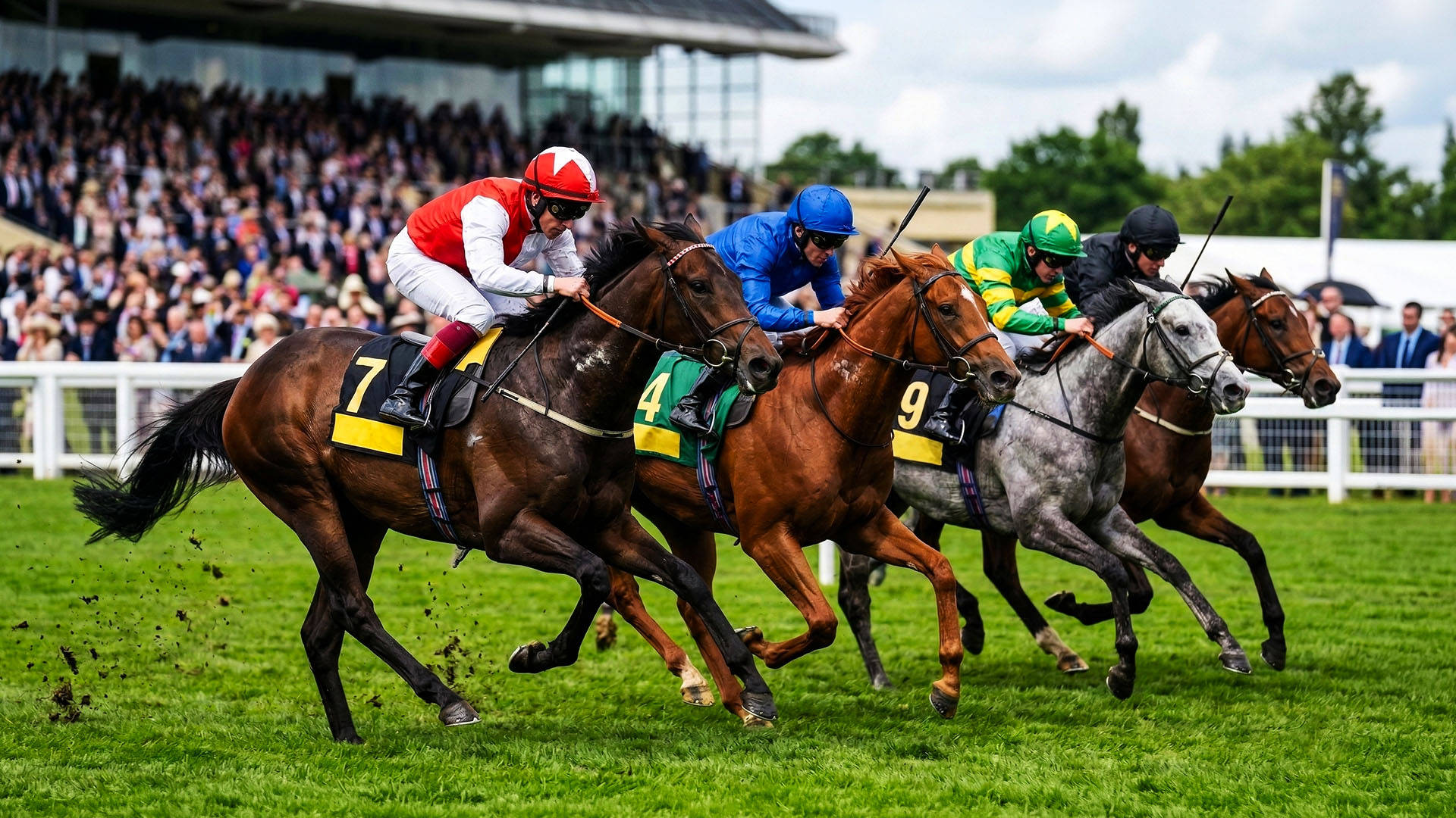 Hestevæddeløb med jockeys i fuld fart på banen