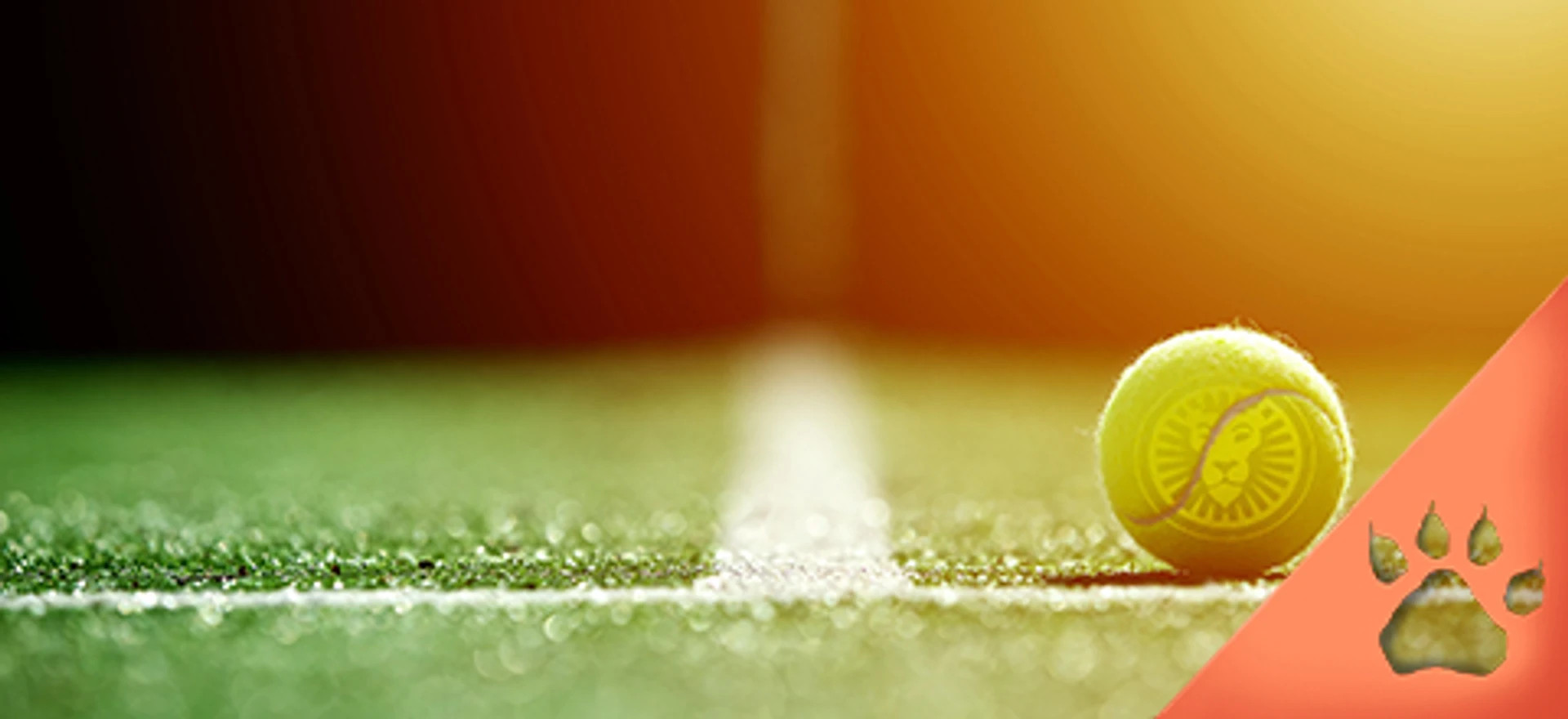 Tennisbold med løvelogo liggende tæt på baglinjen på en grusbane, oplyst af sollys