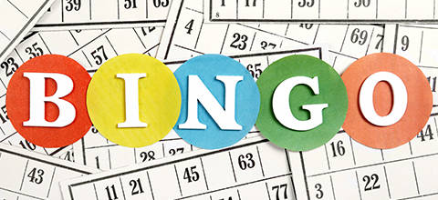 BINGO LOGO