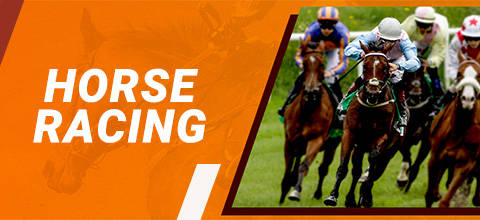 Horse Racing at LeoVegas