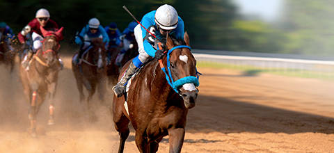 Horse Running
