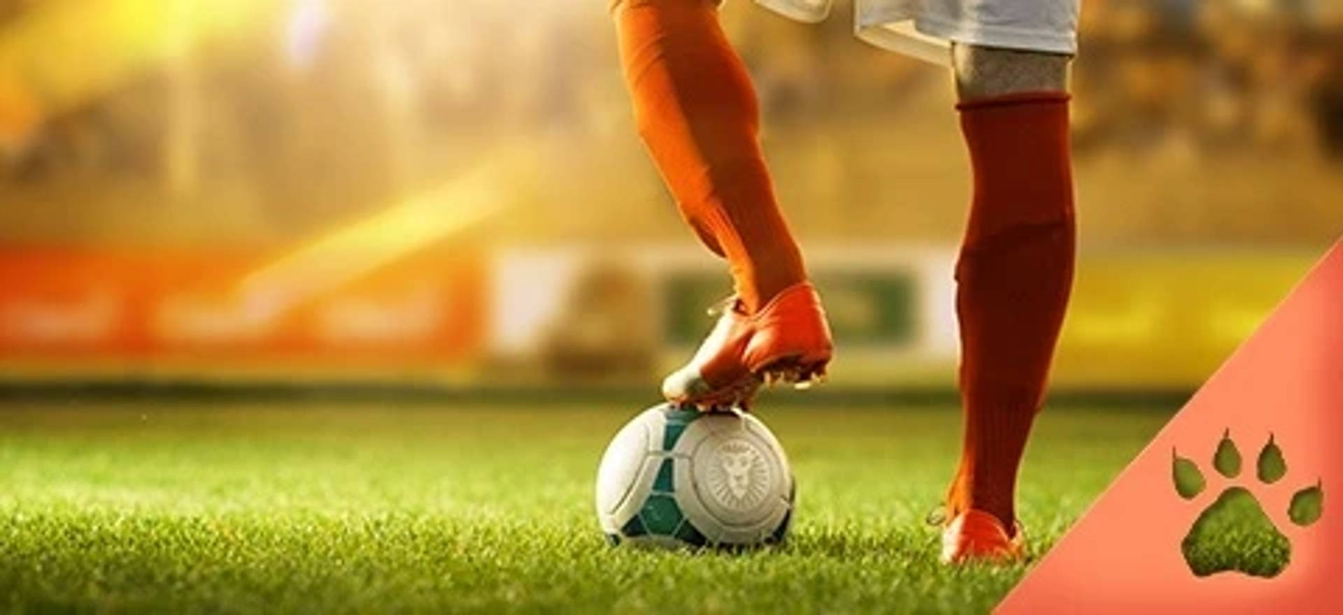 Jalkapalloilijan jalka lepää pallon päällä nurmikentällä.