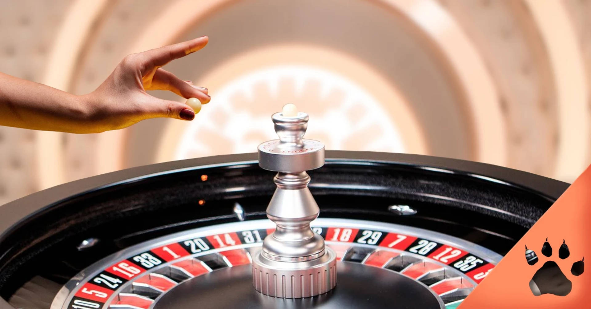 En croupier som är på väg att släppa kulan i ett roulettehjul.
