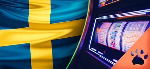 Svenska Spelautomater & Spelutvecklare | LeoVegas