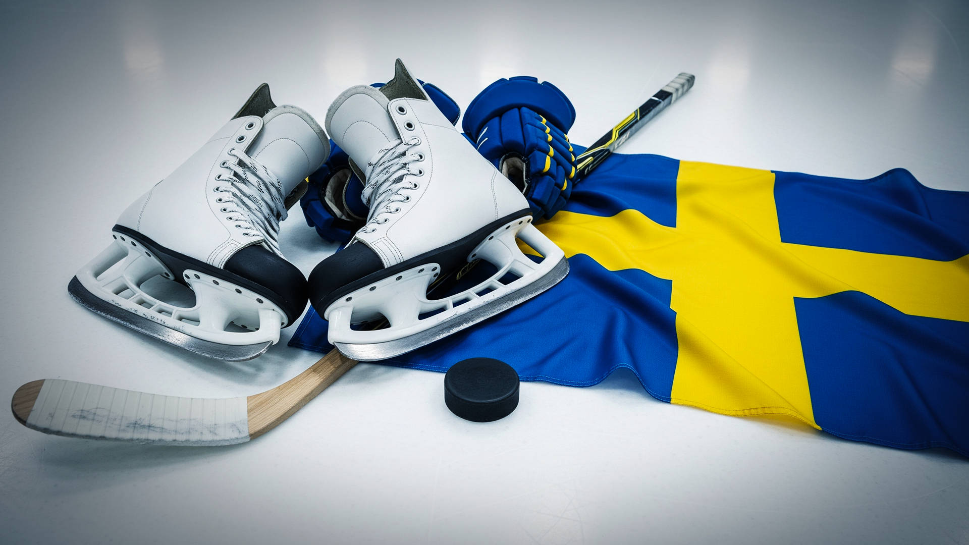 Svenska hockeymålvakter i NHL.