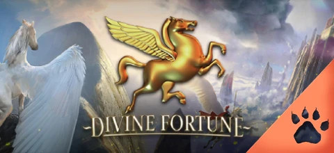 En spelare vann stort på Divine Fortune slot