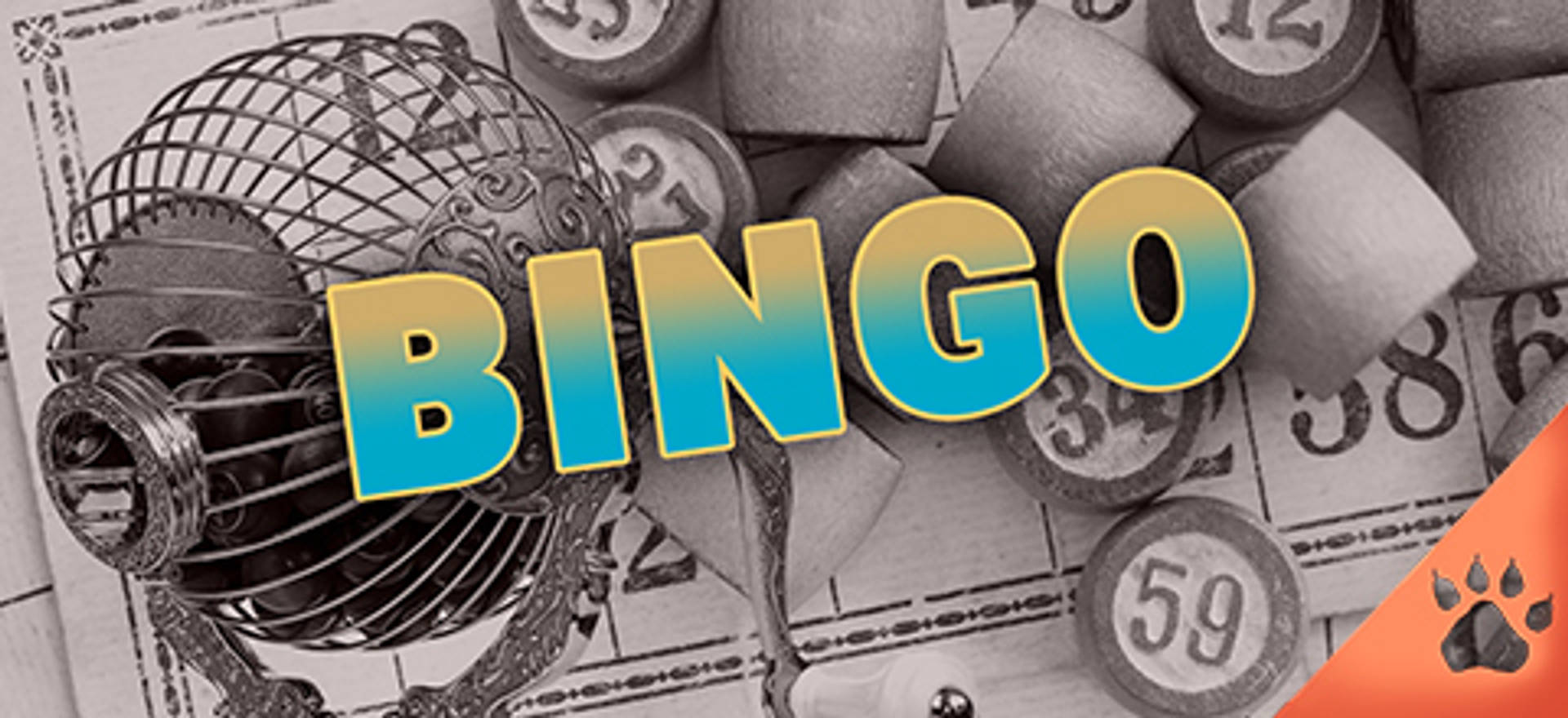 funny-rude-bingo-calls